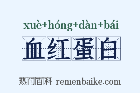 血红蛋白是什么意思的图片
